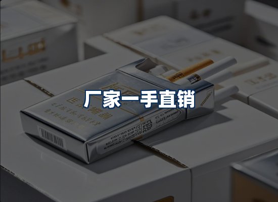 专业团队办公环境